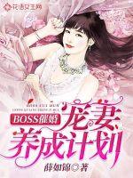 BOSS߻飺BӋ
