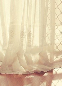 ֮W