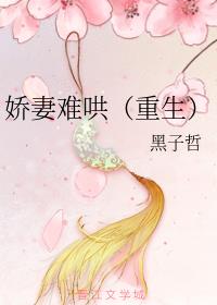y壨