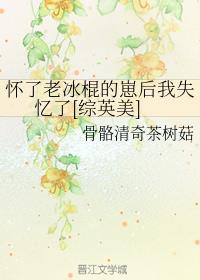 ϱʧ[CӢ]