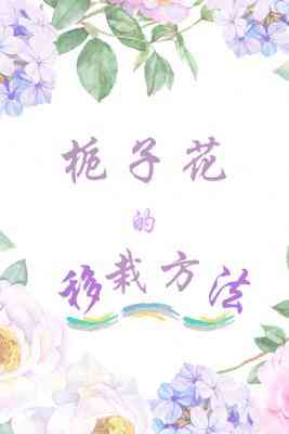 dӻԷʽ