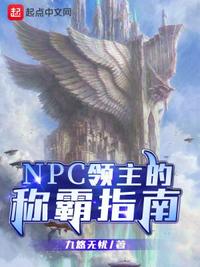 NPCIķQָ