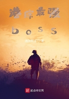 ۾Cboss