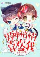 촩ϲg
