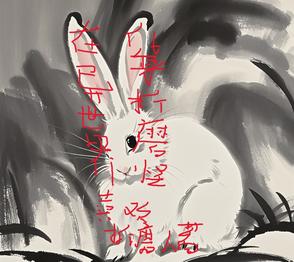 ڮ绯ĥ