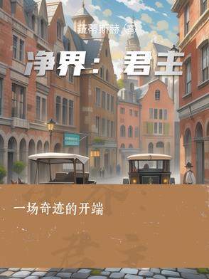 Q磺