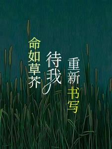 ݽ棬